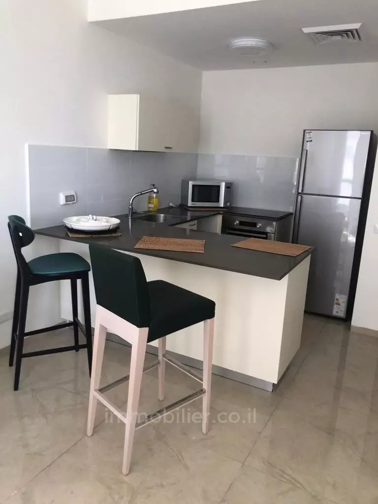 Appartement 4 pièces  Jerusalem Centre Ville 245-IBL-1612