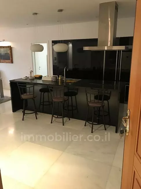 Appartement 4 pièces  Jerusalem Centre Ville 245-IBL-1613