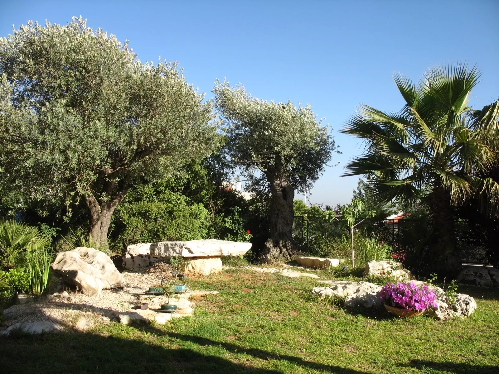 Cottage 10 pièces  Jerusalem Ramot 245-IBL-1617