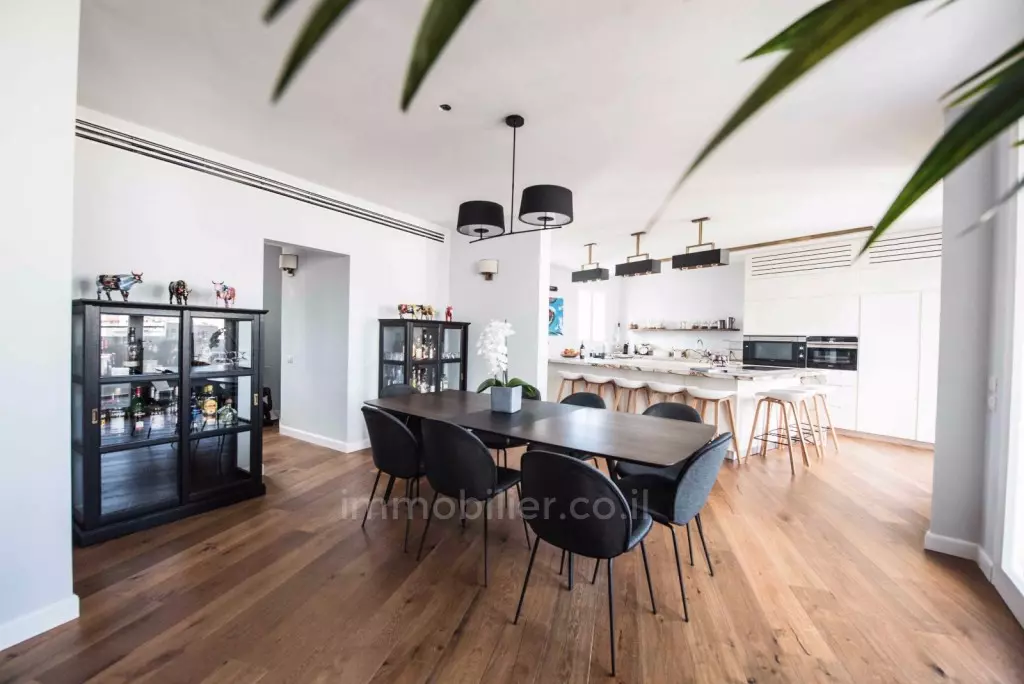 Penthouse 6 pièces  Tel Aviv Rothshild 291-IBL-691