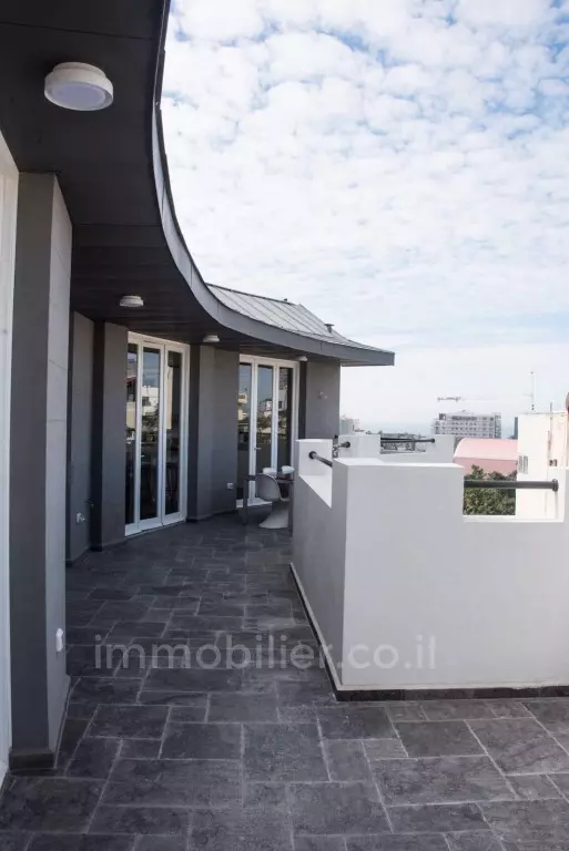 Penthouse 6 pièces  Tel Aviv Rothshild 291-IBL-691