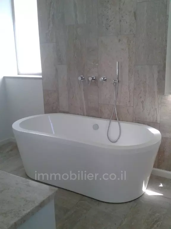 Appartement 5 pièces  Tel Aviv Rothshild 291-IBL-713