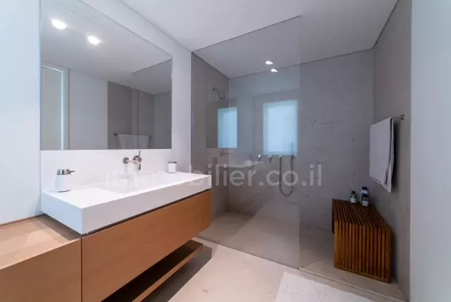 Penthouse 3.5 pièces  Tel Aviv Rothshild 291-IBL-800