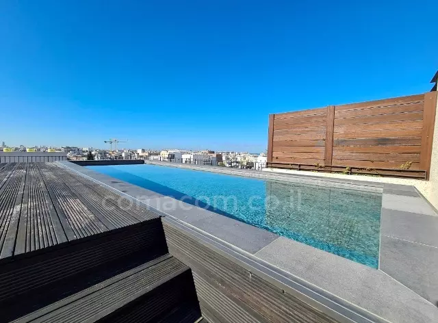 Penthouse 4 pièces  Tel Aviv Florentine 342-IBL-6436