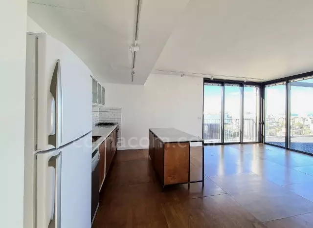 Penthouse 4 pièces  Tel Aviv Florentine 342-IBL-6436