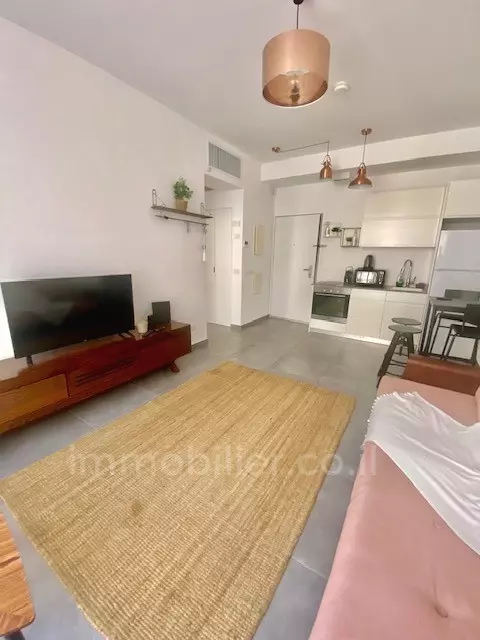 Appartement 2 pièces  Tel Aviv Ben-Yehuda 342-IBL-6694