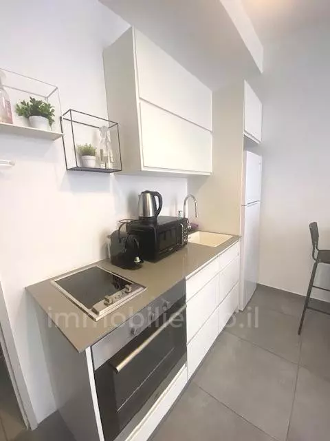 Appartement 2 pièces  Tel Aviv Ben-Yehuda 342-IBL-6694