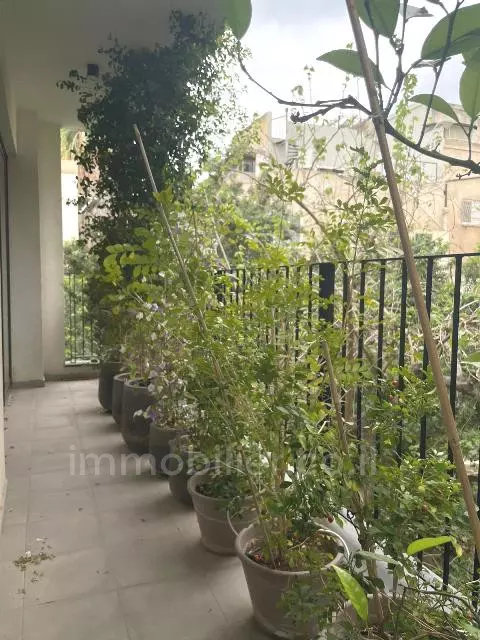 Appartement 3 pièces  Tel Aviv Centre Ville 342-IBL-6710