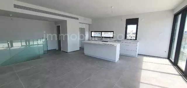 Duplex-Penthouse 5 pièces  Tel Aviv Centre Ville 342-IBL-6728